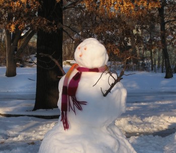 snowman_jan06.jpg